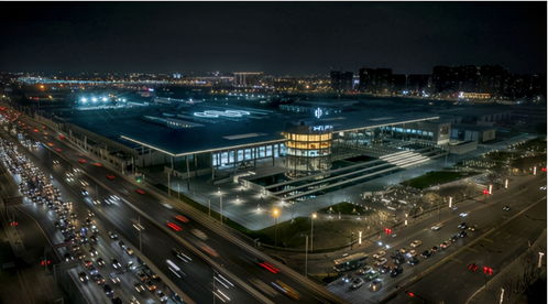 超越特斯拉 乐百龙的偏科与全能战略之道